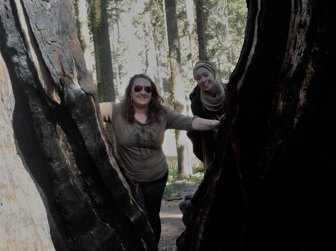 Crescent Meadow Loop-红杉&国王峡谷国家公园必去景点