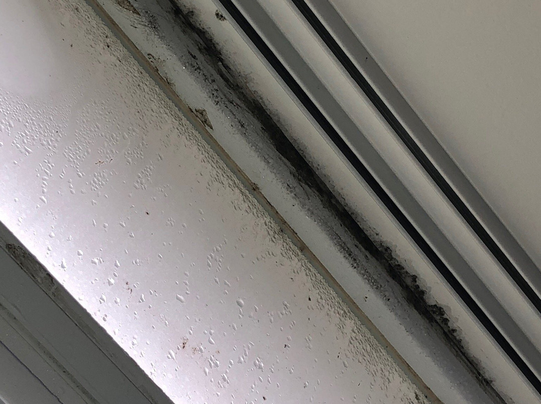 La Giraldilla Apart Hotel主图