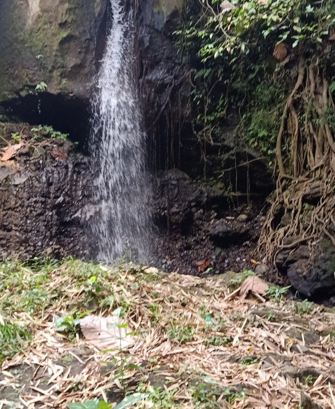 Dana Local Bali Driver-乌布必去景点