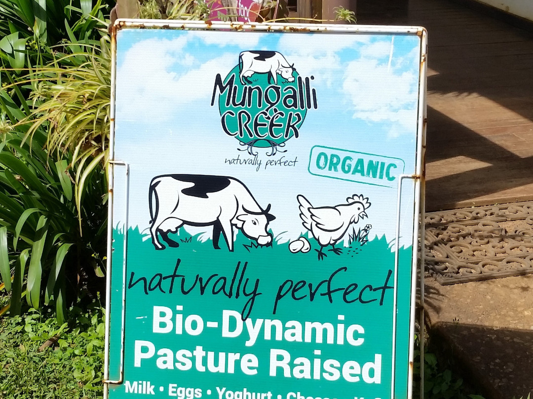 Mungalli Creek Dairy Farm景点图片