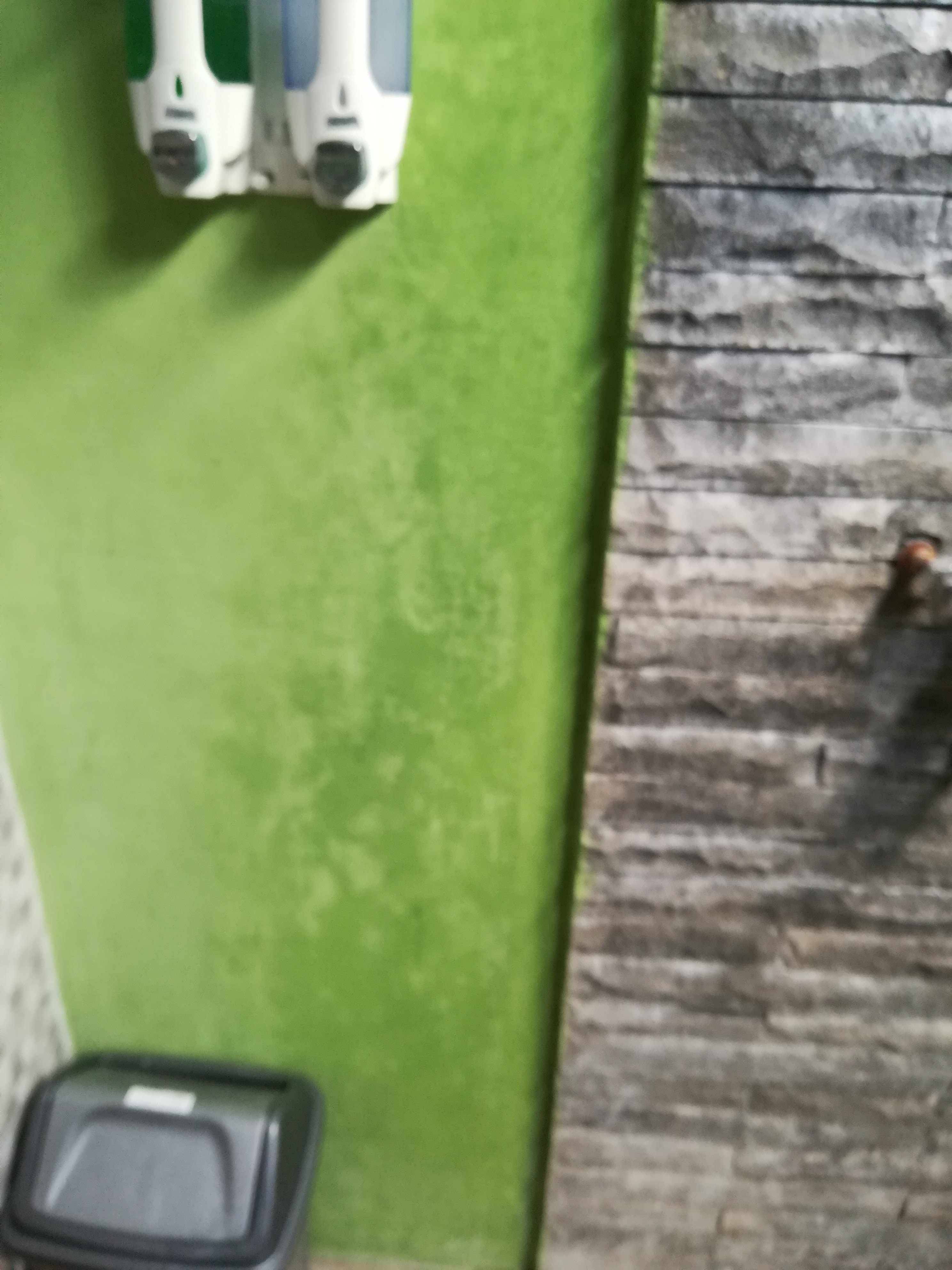 The Dafish Ceningan-浴室