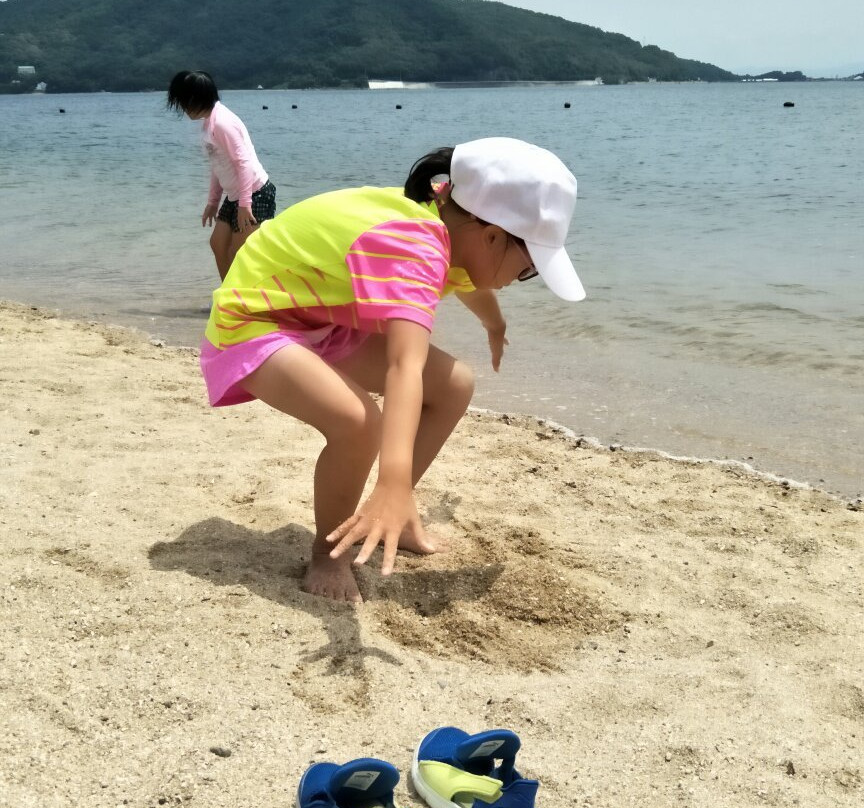 Olive Beach景点图片