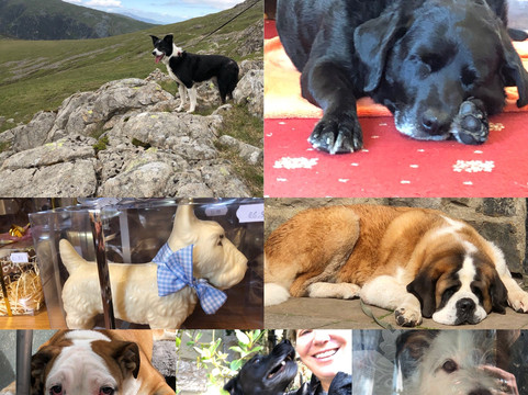 Big Round World-Lyons必去景点