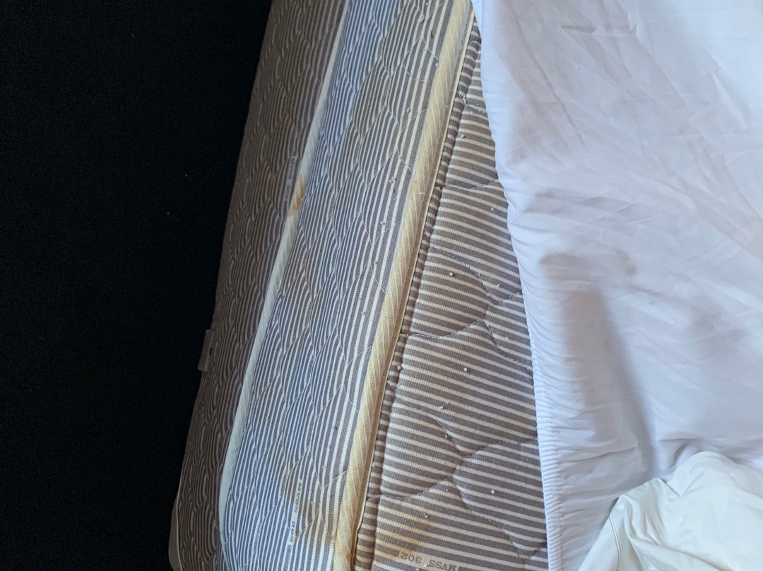 Budget Inn Mackinaw主图