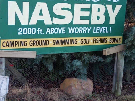 Naseby Ice Rink-Naseby必去景点