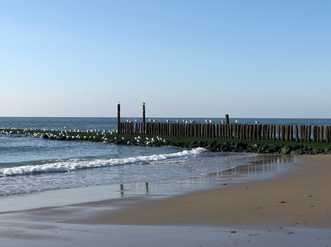 Oostkapelle Beach景点图片