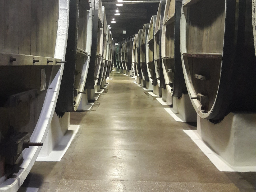 Inkerman Wine Factory-Inkerman必去景点