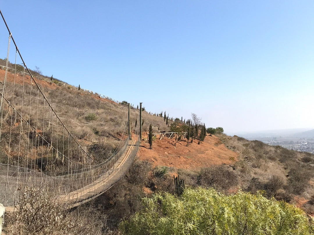 Parque Urbano Natural La Ligua-La Ligua必去景点