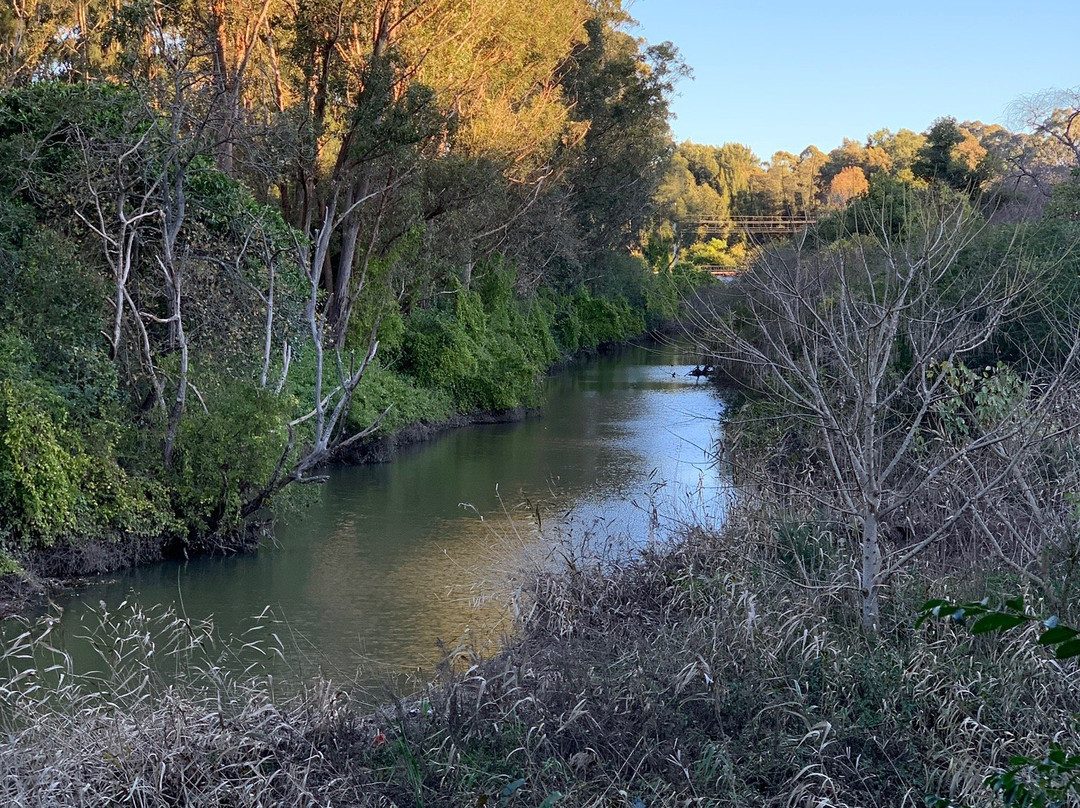 Wolli Creek Walking Track景点图片