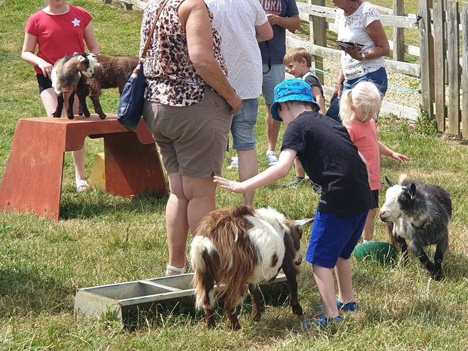 Abbotsbury Childrens Farm景点图片