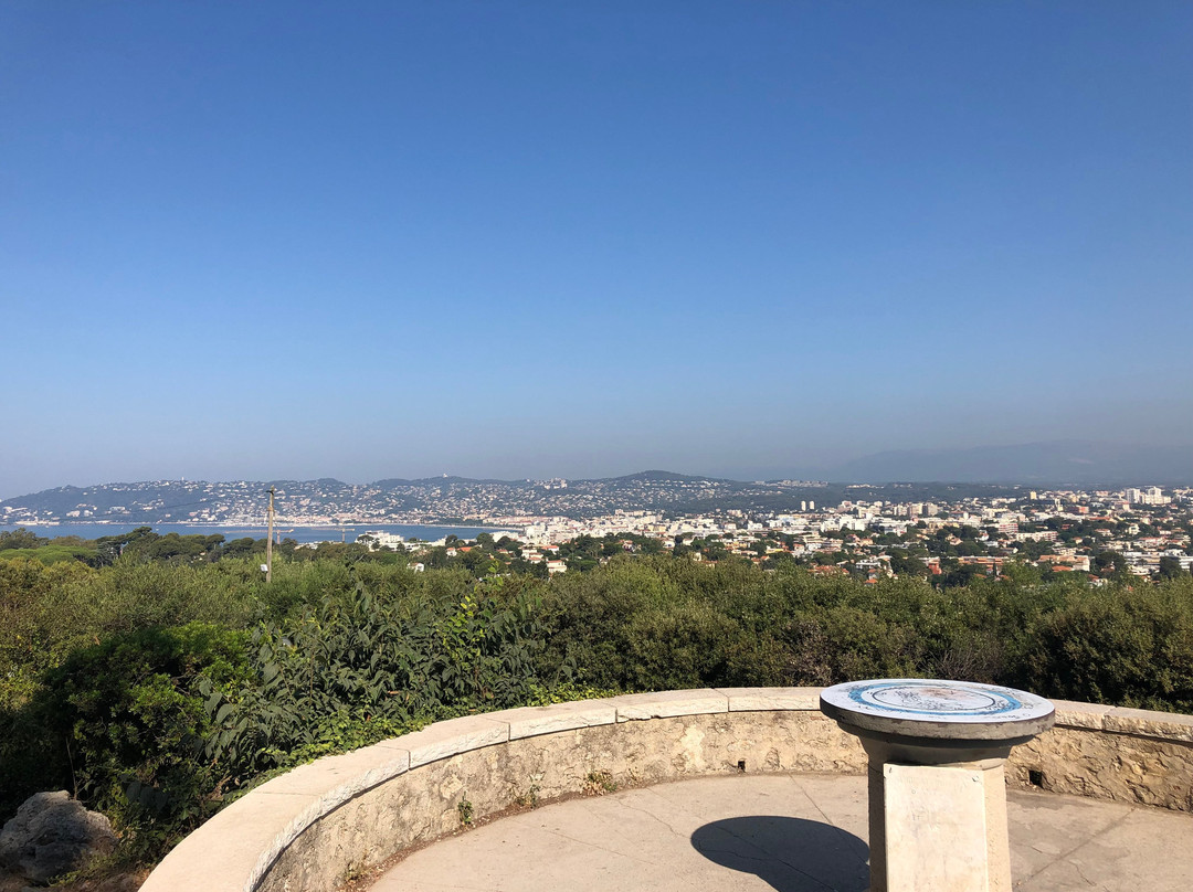 Provence Trips & Tours-戛纳必去景点