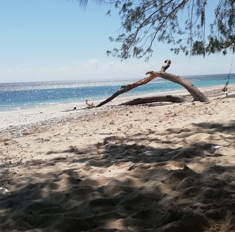 Puru Kambera Beach景点图片