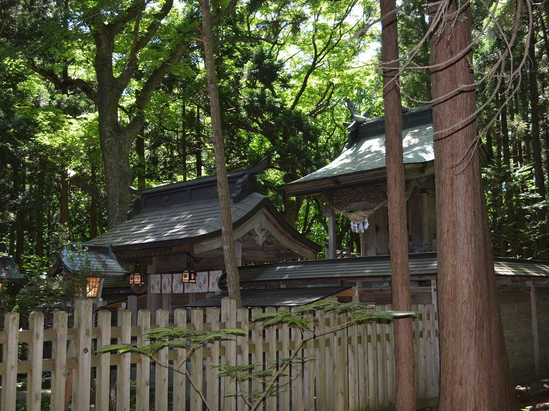 Hachiman Shrine景点图片