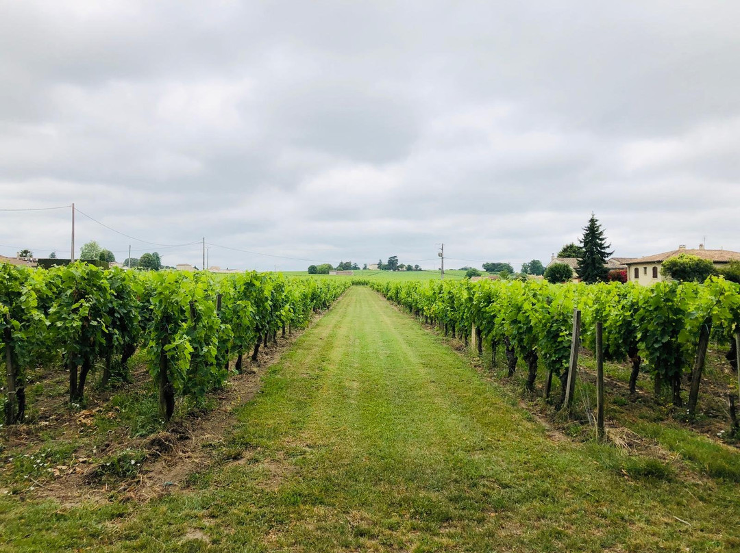 Château La Maronne主图