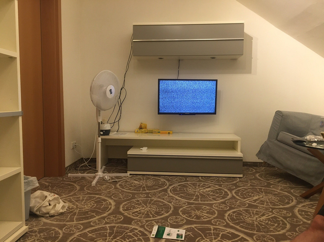 Boutique Hotel Erla主图