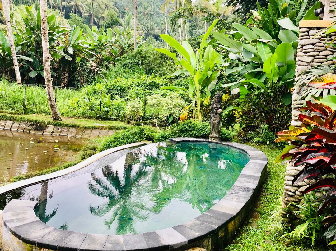 彭杜克塞巴图别墅酒店主图