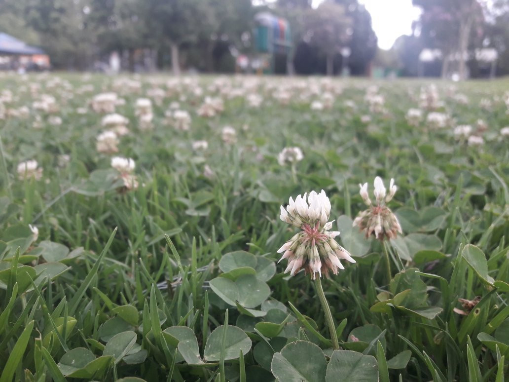 Xochitla-中部墨西哥和墨西哥湾沿岸必去景点