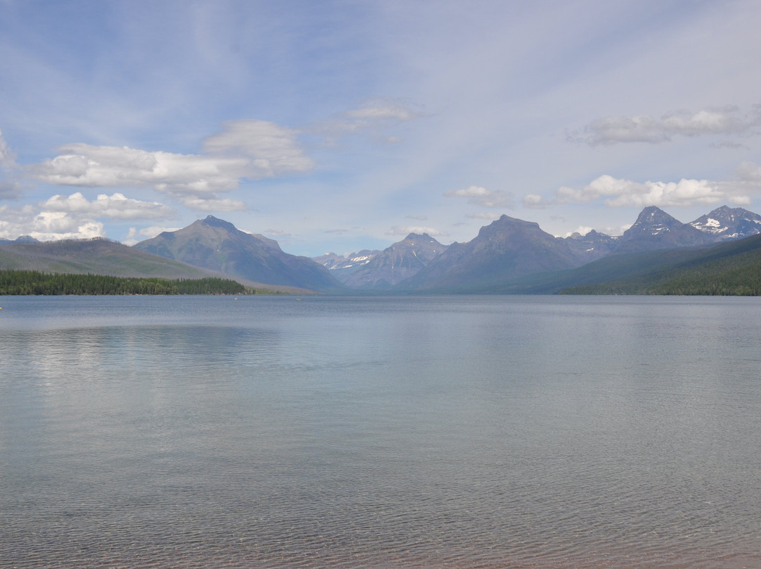 The Village Inn主图