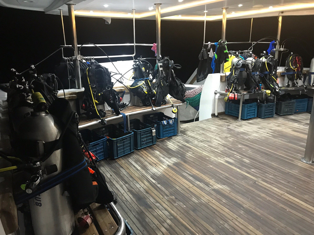 Pro Dive Centre-伊丽莎白港必去景点