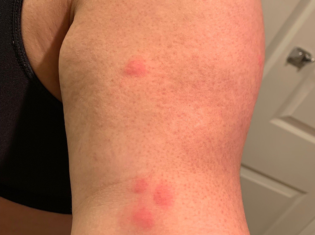 Comfort Suites Milwaukee Airport主图