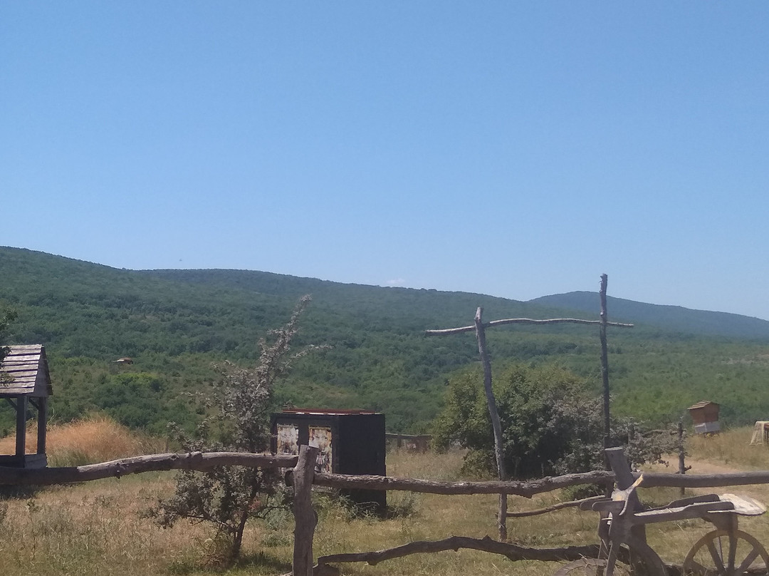 Antelope Park Safari Ranch-Izyumivka必去景点