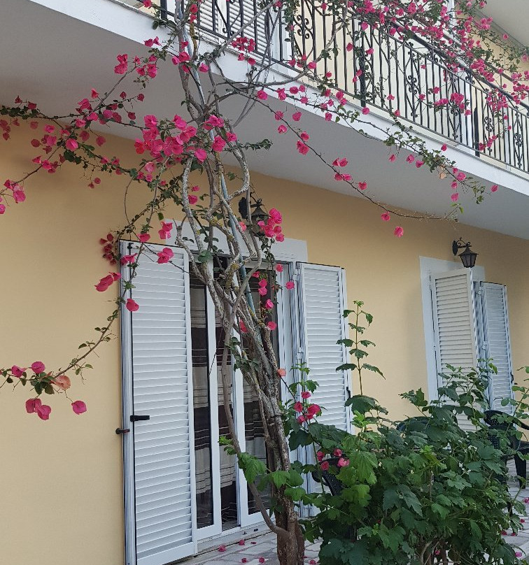 Splash Pool Bar主图