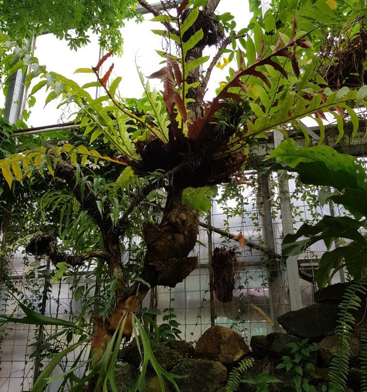 Botanischer Garten-奥尔登堡必去景点