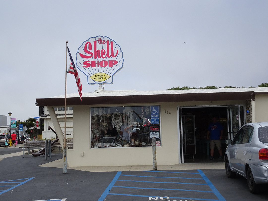 The Shell Shop-莫罗贝必去景点