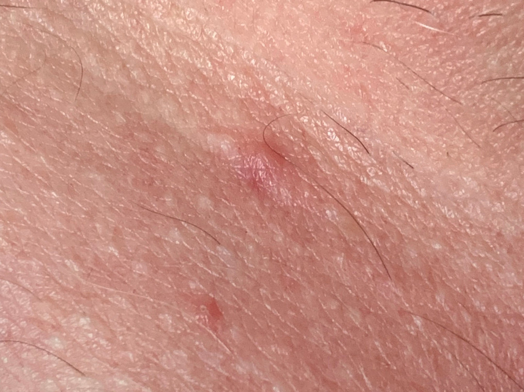 Comfort Inn Ballard-Roosevelt主图