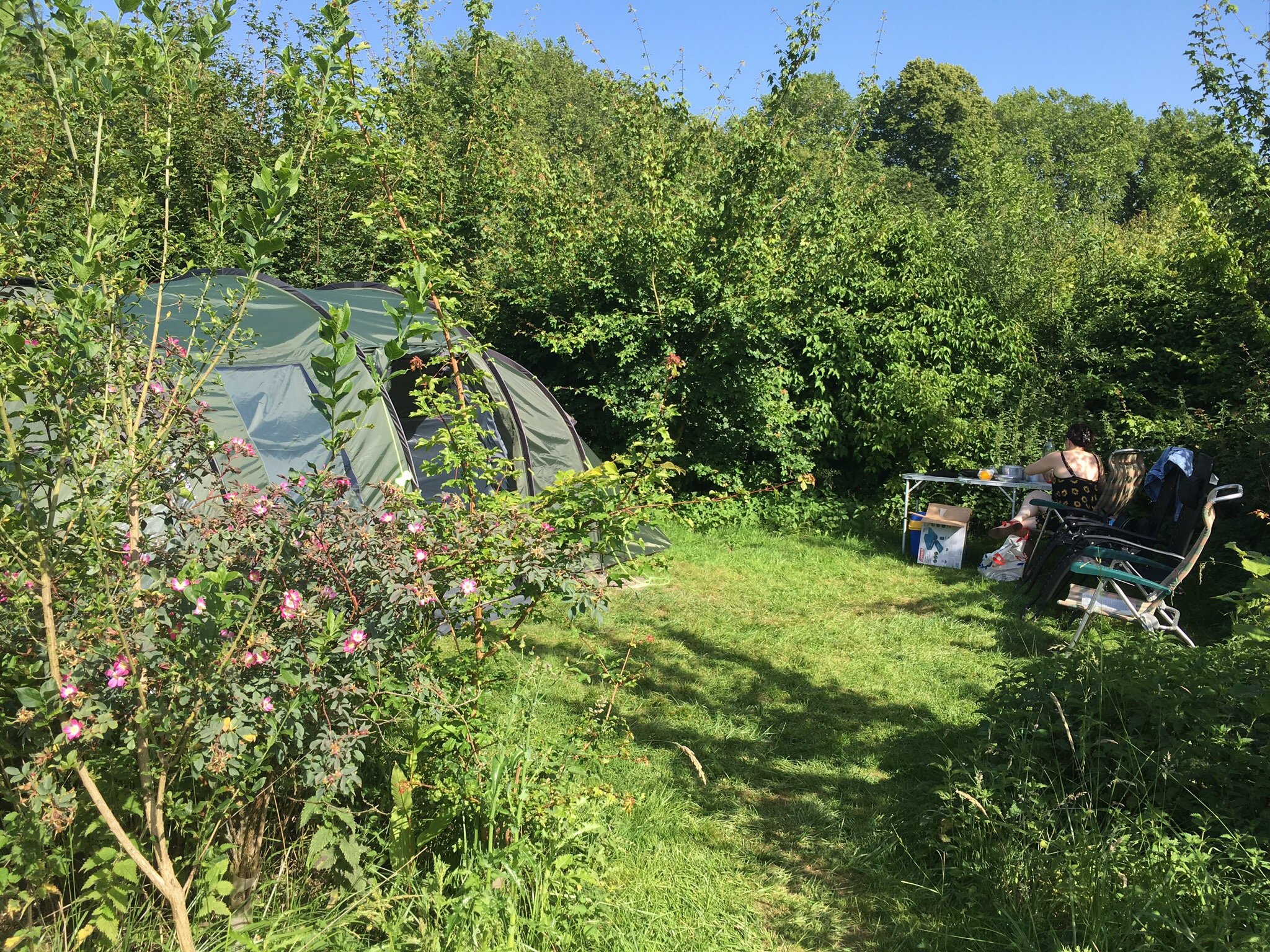 Bridge House - Campsite and B&B-官方