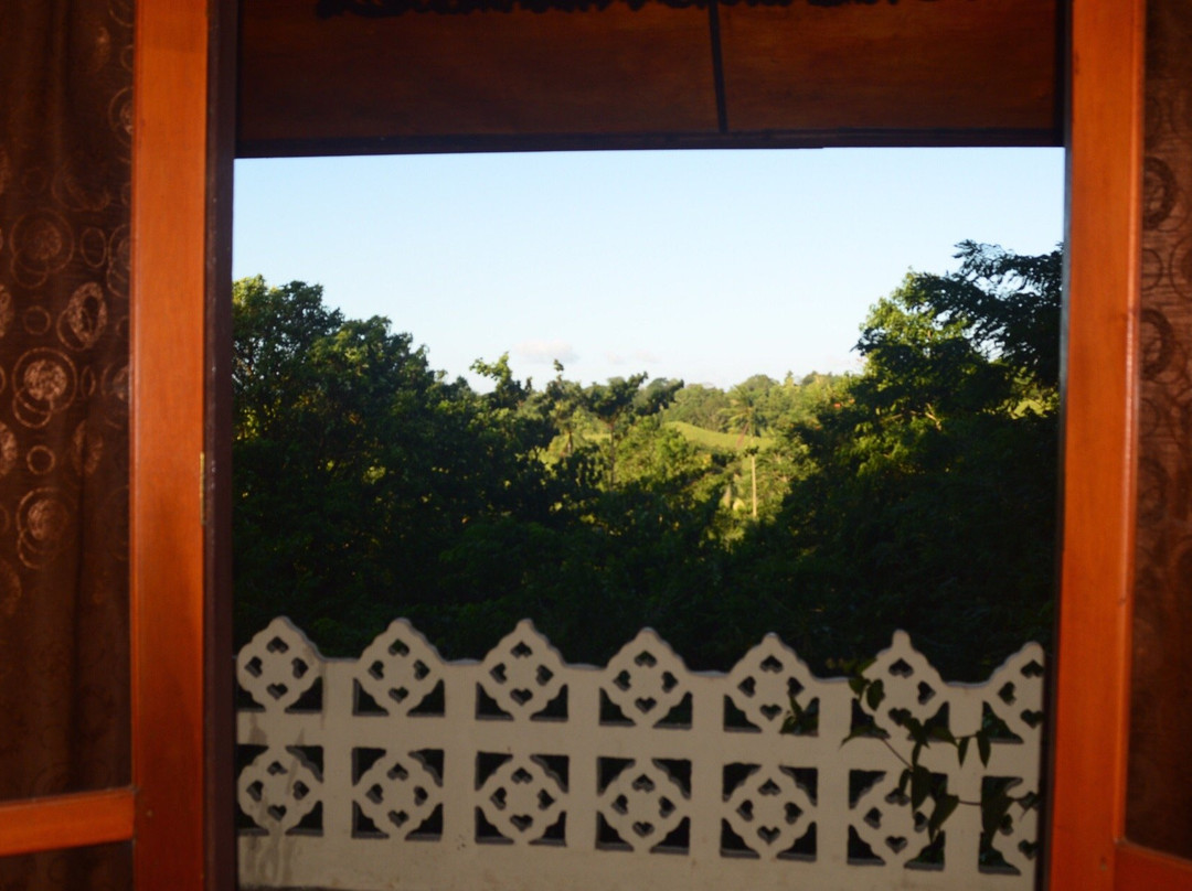 Tangkoko Sanctuary Villa主图