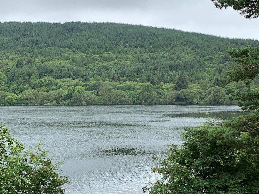 Llwyn-on Reservoir-梅瑟蒂德菲尔必去景点