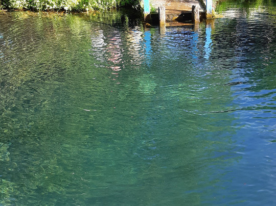 Mshenchskiy Holy Spring-Mshentsy必去景点