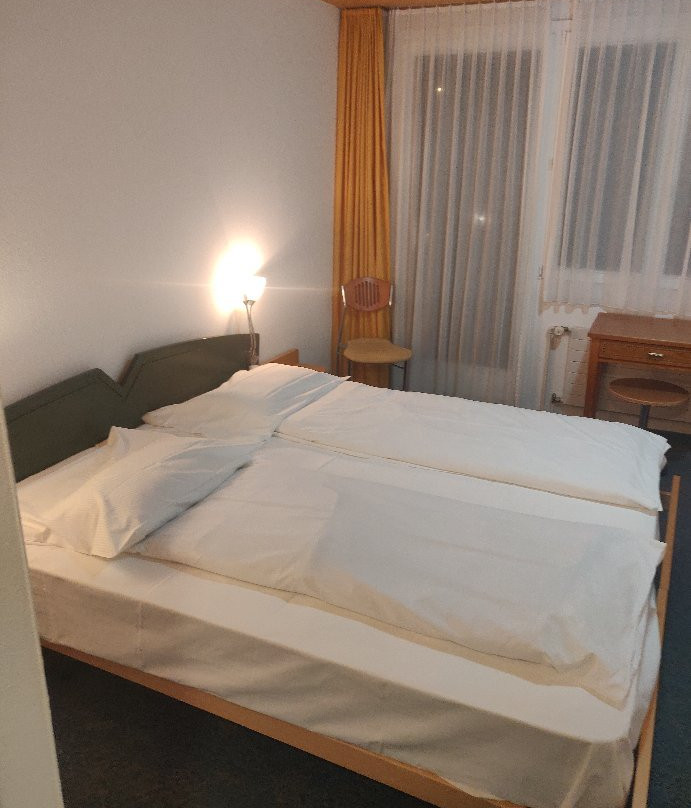 Hotel Loewen主图
