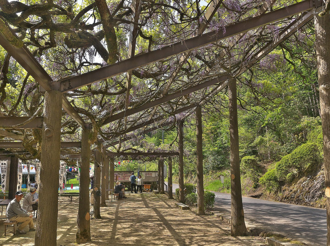 Sainokami no Fuji-福知山市必去景点