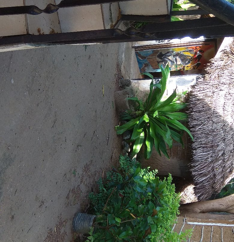 Moyo Mmoja Guesthouse主图