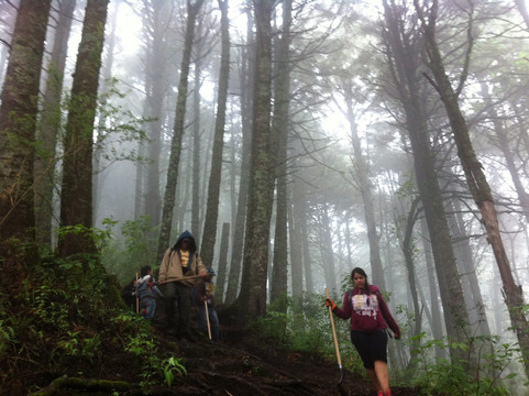 Experiencias Ecoturisticas El Fresnito-瓜达拉哈拉必去景点