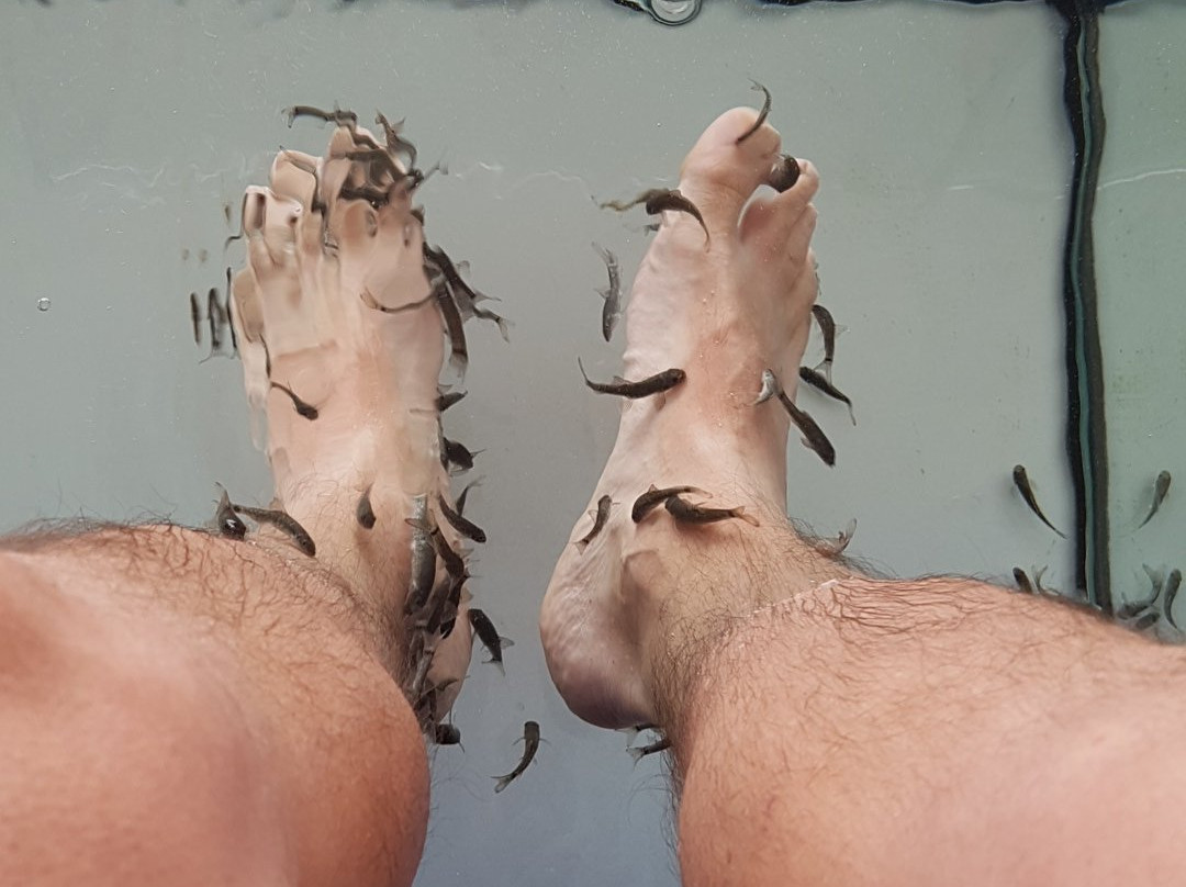 O' Fish Spa景点图片