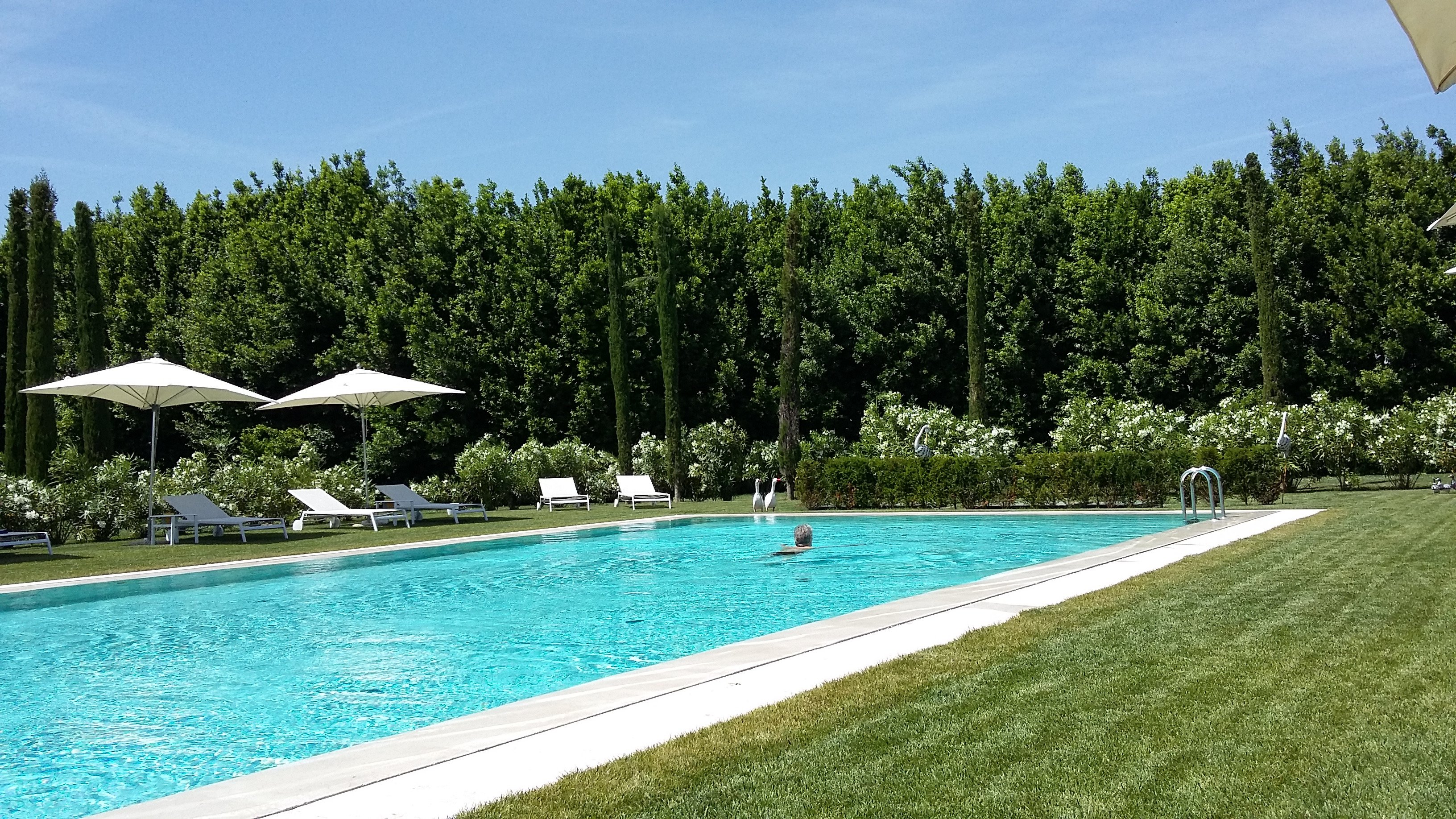 玛格丽特别墅酒店-泳池