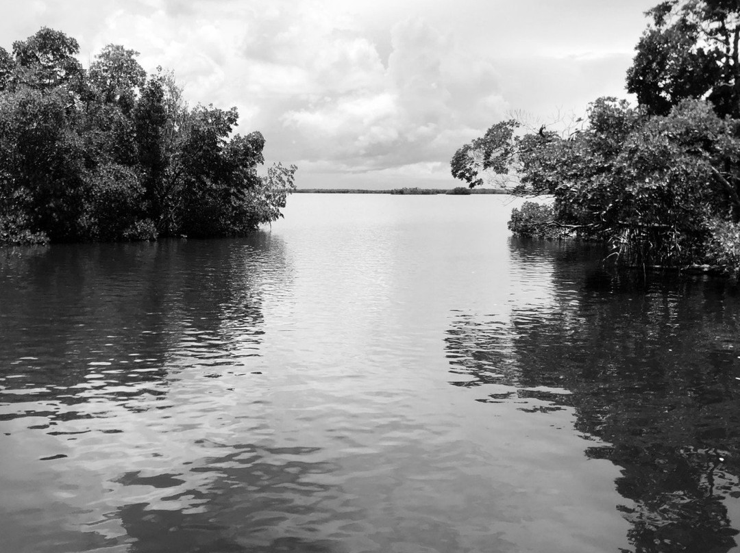 Everglades Old Time Charters景点图片