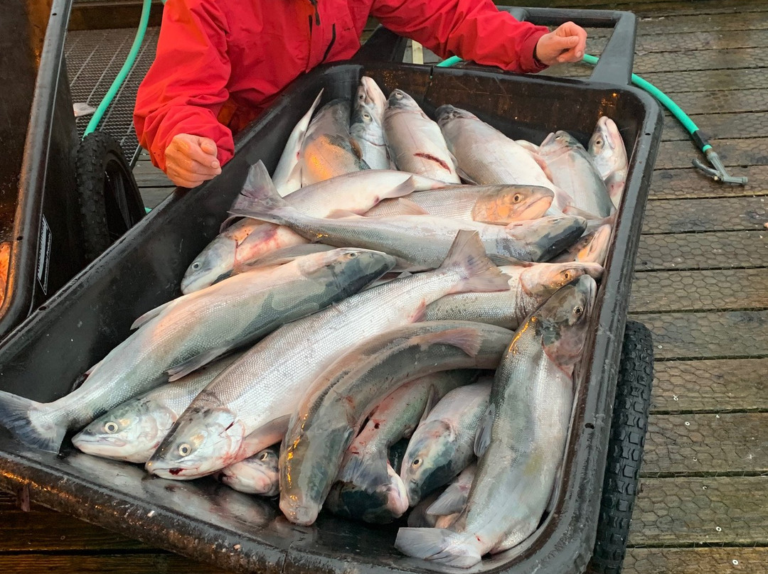 AK eXpeditions-Chitina必去景点