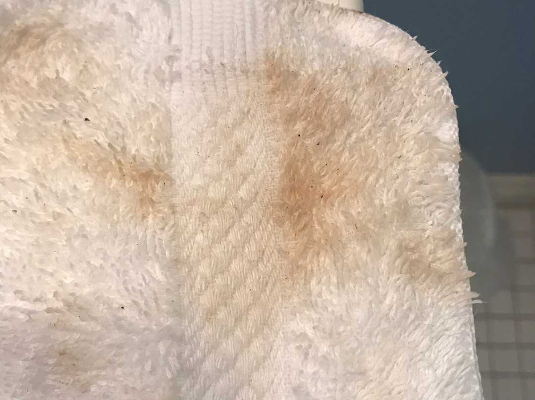 Union Square Guest Quarters主图