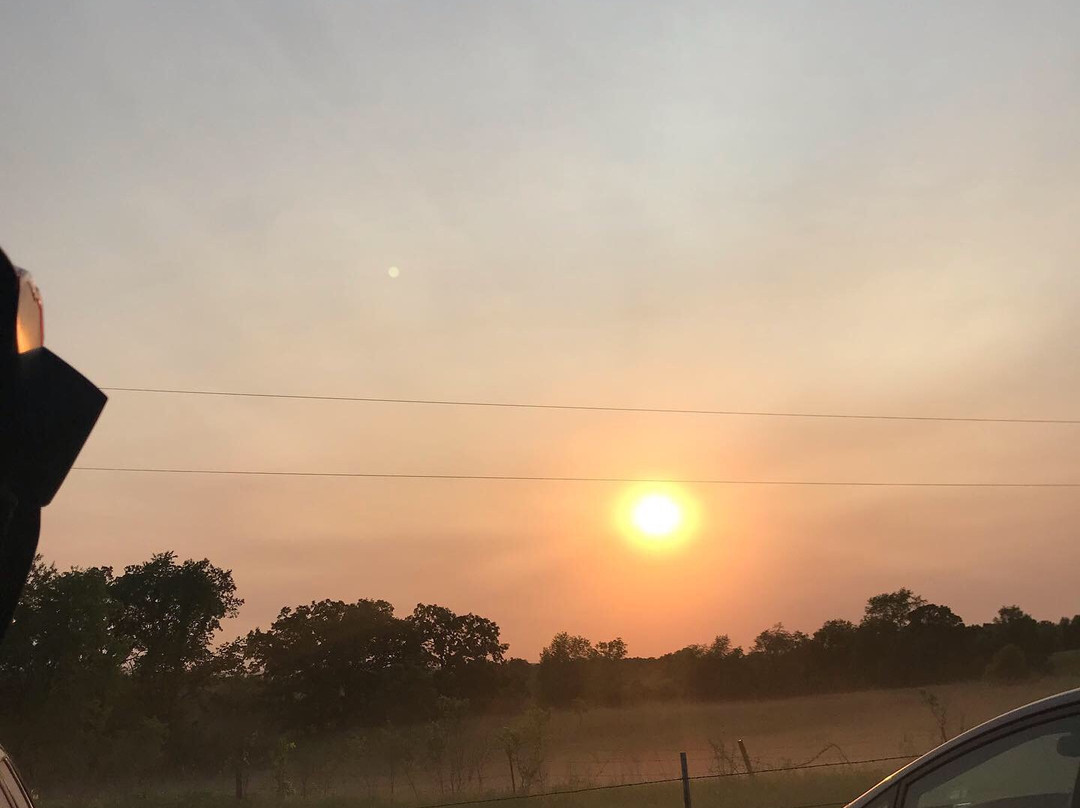 Codfish Hollow Barnstormers-Maquoketa必去景点