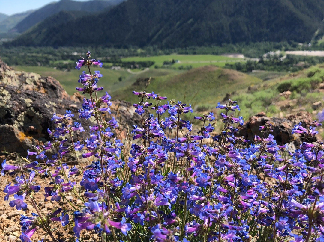 Dollar Mountain-森瓦利必去景点