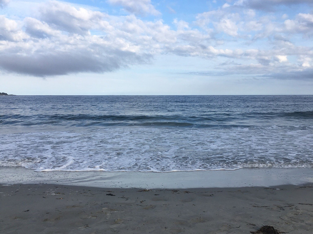 Bayswater Beach Provincial Park景点图片