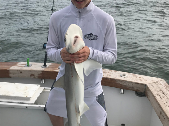 Bulldog Fishing Charters-希尔顿头岛必去景点