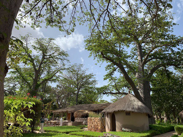 Les Paletuviers Boutique Hotel主图