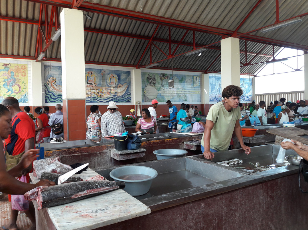 Mercado de Peixe-Sao Vicente必去景点