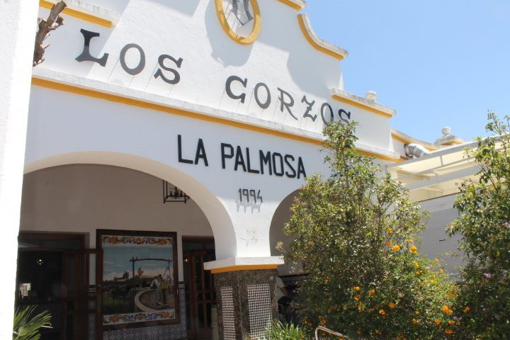 Hotel La Palmosa主图