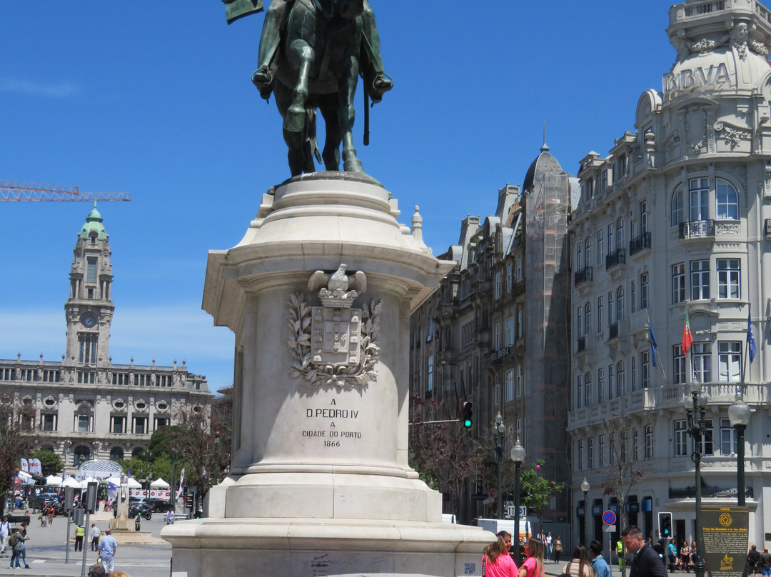 Monumento a Dom Pedro IV景点图片